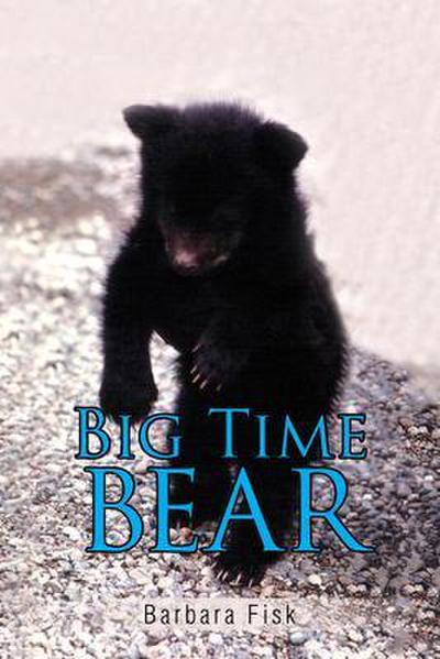 Big Time Bear