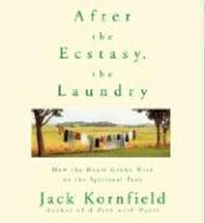 After the Ecstasy, the Laundry: How the Heart Grows Wise on the Spiritual Path
