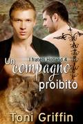 Un compagno proibito (I fratelli Holland, #4)