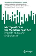 Microplastics in the Mediterranean Sea