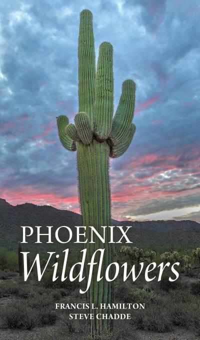 Phoenix Wildflowers