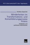 Minderheiten im Transformations- und Konsolidierun