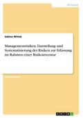 Managementrisiken.Darstellung und Systematisierung