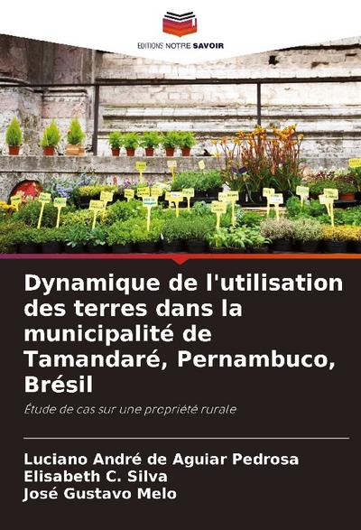 Dynamique de l’utilisation des terres dans la municipalité de Tamandaré, Pernambuco, Brésil
