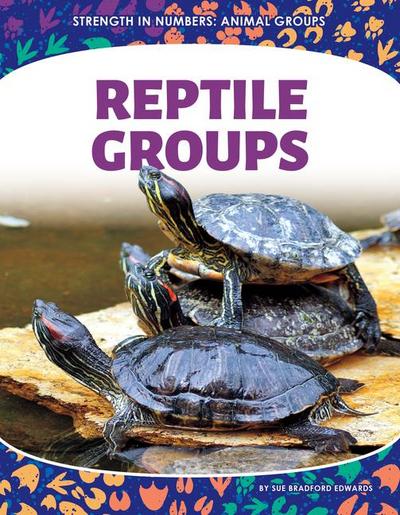 Reptile Groups