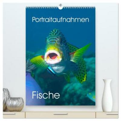 Portraitaufnahmen - Fische (hochwertiger Premium Wandkalender 2026 DIN A2 hoch), Kunstdruck in Hochglanz