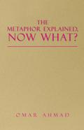 The Metaphor Explained, Now What?