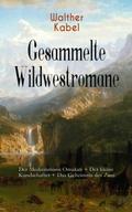 Gesammelte Wildwestromane: Der Medizinmann Omakati
