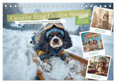Cavalier King Charles Spaniel. Die lustigsten Cavalier Momente des Jahres. (Tischkalender 2026 DIN A5 quer), CALVENDO Monatskalender