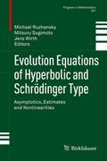 Evolution Equations of Hyperbolic and Schrödinger 
