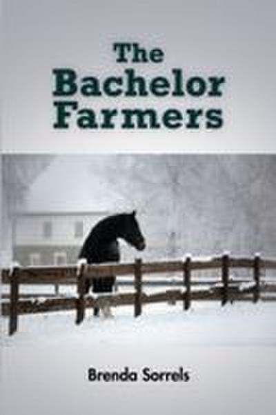 The Bachelor Farmers