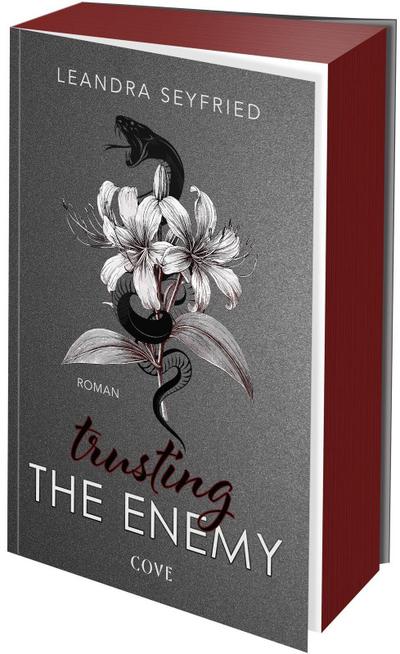 Trusting The Enemy (Sons of Chicago 2)