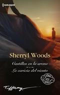 Castillos en la arena - La caricia del viento
