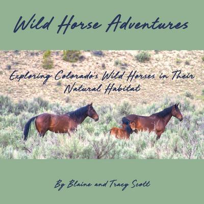 Wild Horse Adventures