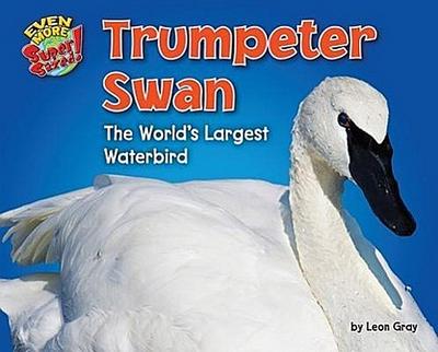 Trumpeter Swan
