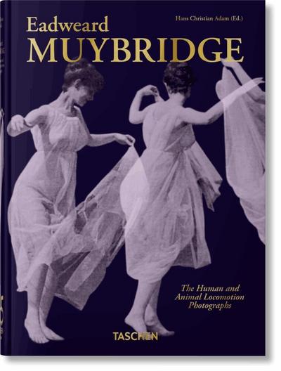Muybridge