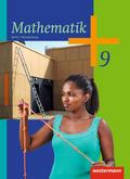 Mathematik - Ausgabe 2013 für die Sekundarstufe I 