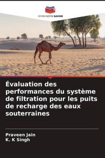 Évaluation des performances du système de filtration pour les puits de recharge des eaux souterraines