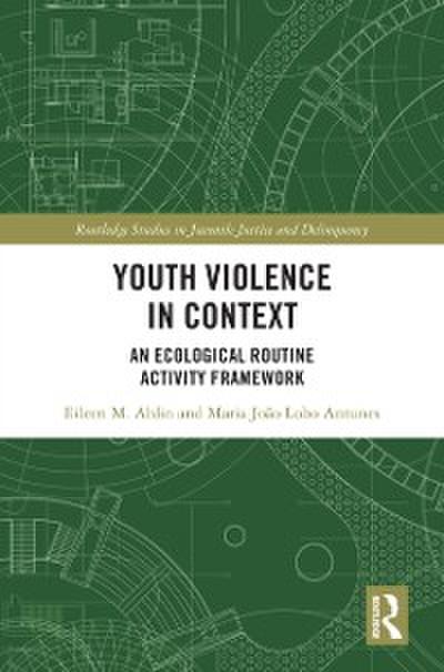 Youth Violence in Context