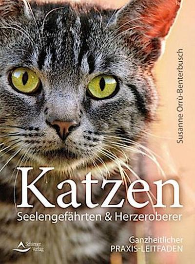 Katzen - Seelengefährten & Herzeroberer