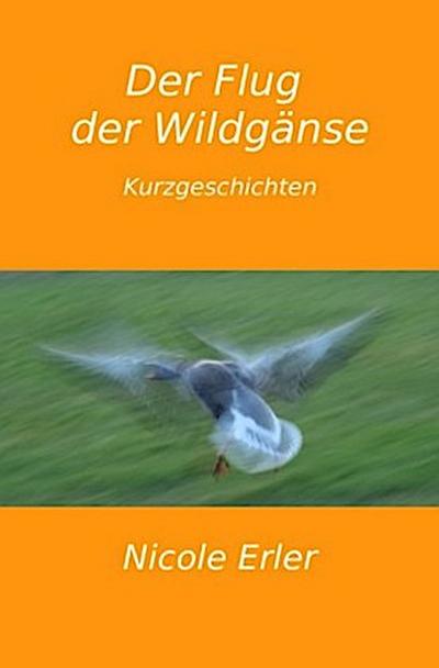 Der Flug der Wildgänse