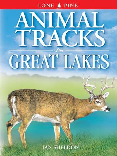 Animal Tracks of the Great Lakes