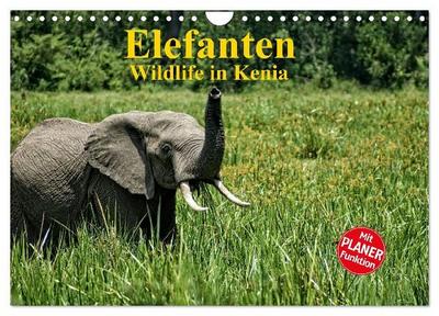 Elefanten. Wildlife in Kenia (Wandkalender 2027 DIN A4 quer), CALVENDO Monatskalender