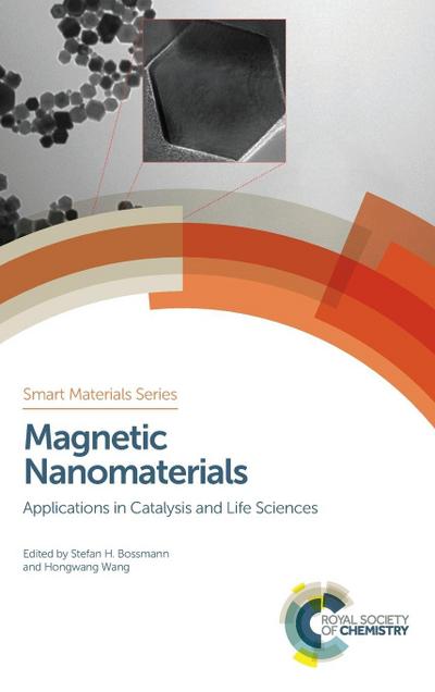 Magnetic Nanomaterials