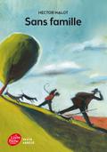 Sans famille - Texte Abrégé
