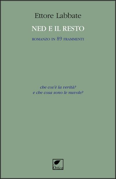 Ned e il resto. Romanzo in 89 frammenti