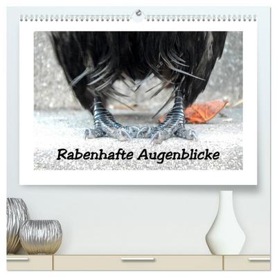 Rabenhafte Augenblicke (hochwertiger Premium Wandkalender 2025 DIN A2 quer), Kunstdruck in Hochglanz
