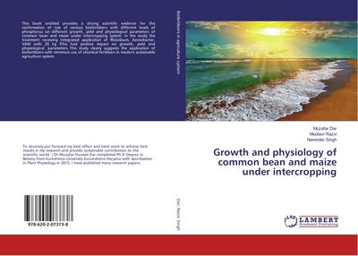 Growth and physiology of common bean and maize under intercropping