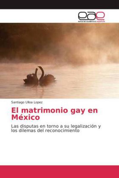 El matrimonio gay en México
