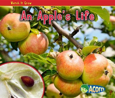 An Apple’s Life