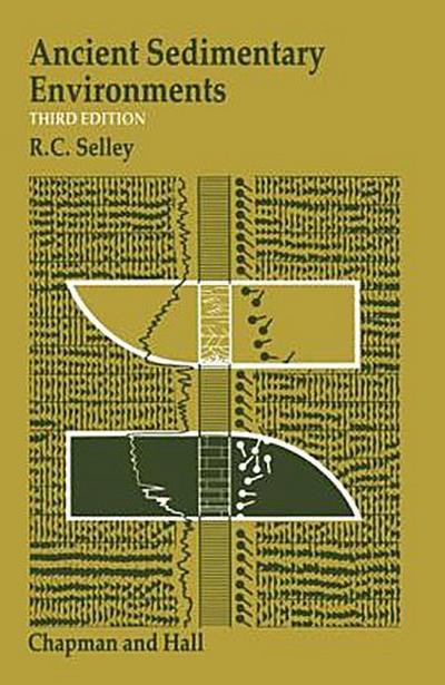 Ancient Sedimentary Environments and their sub-surface diagnosis