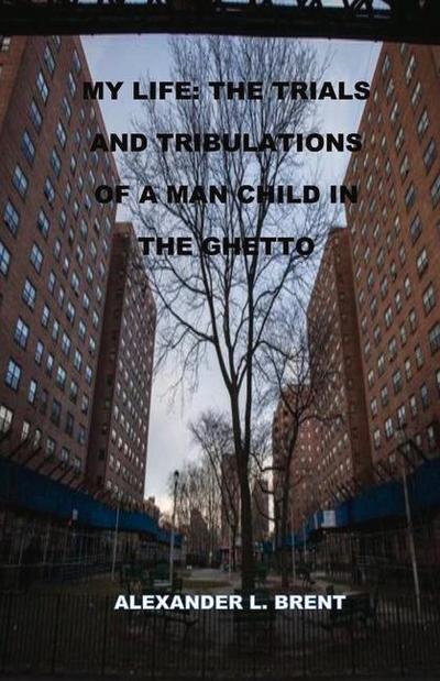 My Life: The Trials and Tribulations of a Man Child in the Ghetto