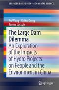 The Large Dam Dilemma