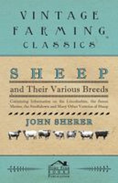 Sheep and Their Various Breeds - Containing Information on the Lincolnshire, the Saxon Merino, the Southdown and Many Other Varieties of Sheep
