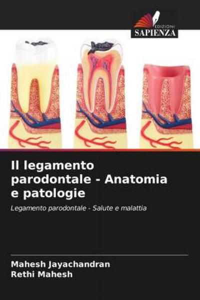 Il legamento parodontale - Anatomia e patologie