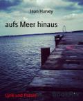 aufs Meer hinaus