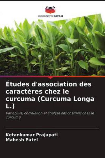 Études d’association des caractères chez le curcuma (Curcuma Longa L.)