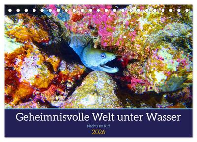 Geheimnisvolle Welt unter Wasser - Nachts am Riff (Tischkalender 2026 DIN A5 quer), CALVENDO Monatskalender