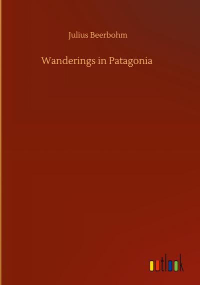 Wanderings in Patagonia