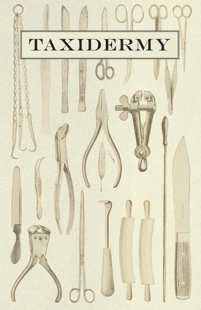 Taxidermy
