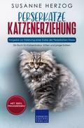 Perserkatze Katzenerziehung - Ratgeber zur Erziehung einer Katze der Perserkatzen Rasse