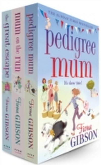 Fiona Gibson 3 Book Bundle