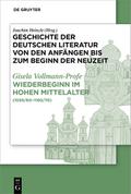 Wiederbeginn volkssprachiger Schriftlichkeit im hohen Mittelalter
