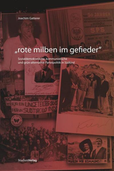 Rote Milben im Gefieder