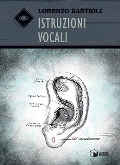 Istruzioni vocali