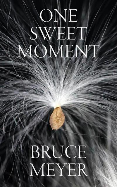 One Sweet Moment